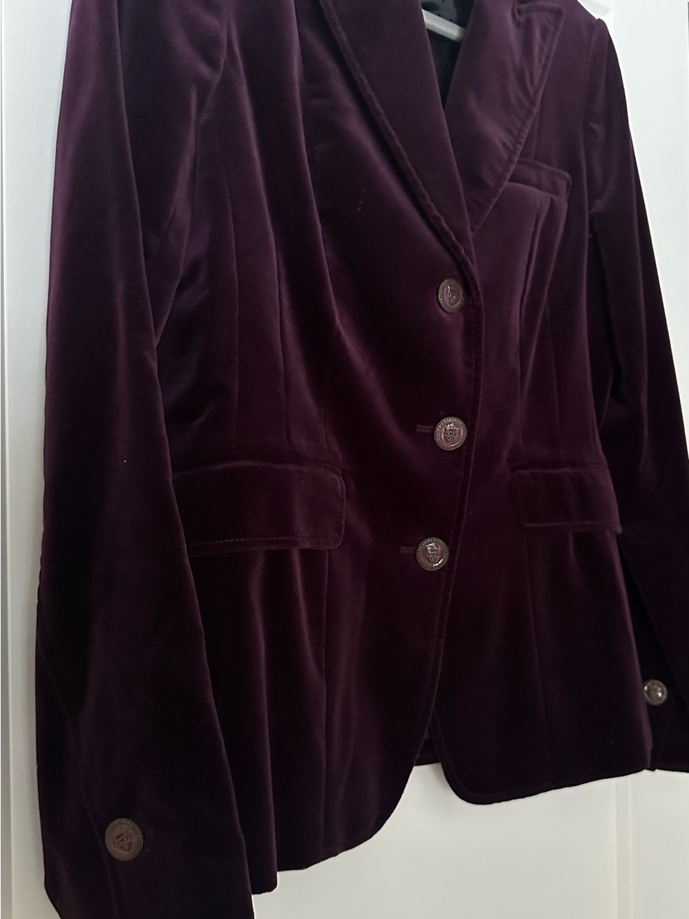 Banana Republic Velvet Blazer in Deep Plum